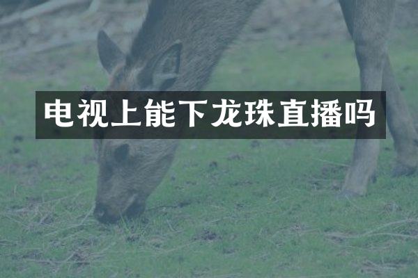 电视上能下龙珠直播吗