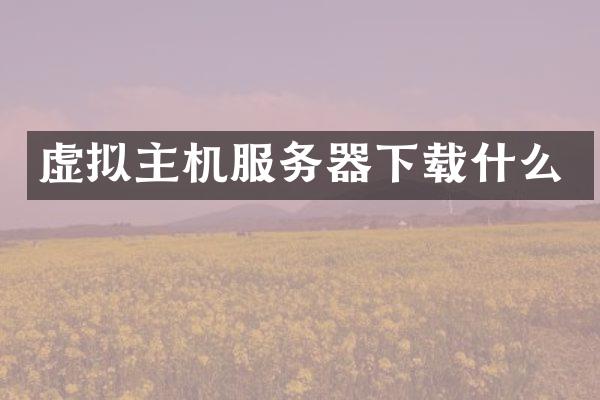 虚拟主机服务器下载什么