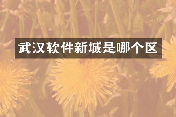 武汉软件新城是哪个区