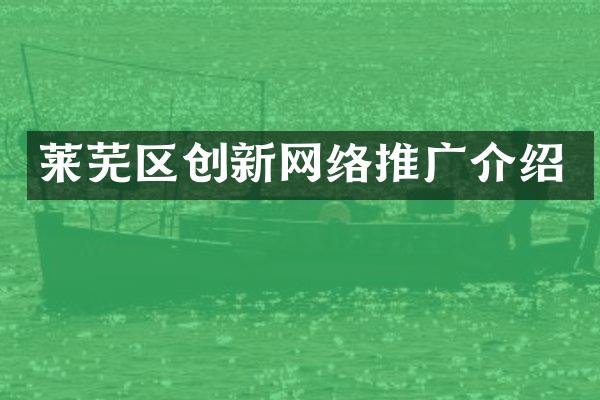 莱芜区创新网络推广介绍