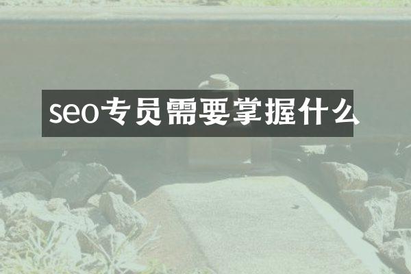 seo专员需要掌握什么