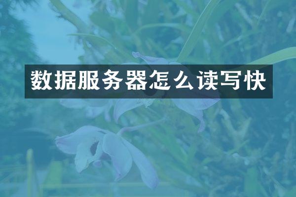 数据服务器怎么读写快
