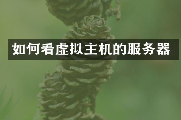 如何看虚拟主机的服务器