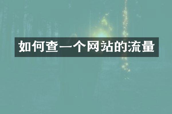如何查一个网站的流量