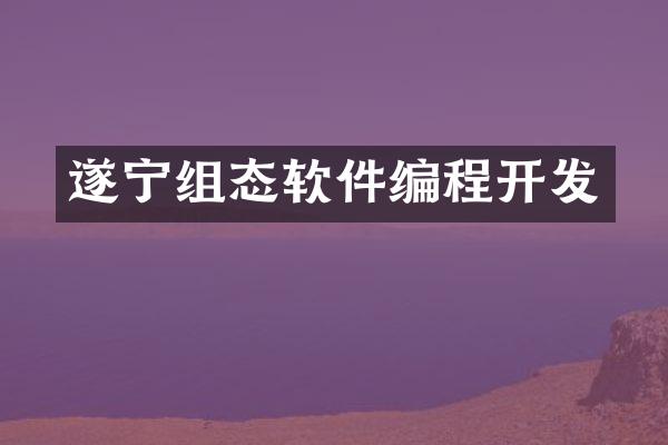 遂宁组态软件编程开发
