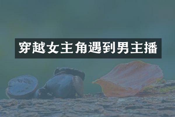 穿越女主角遇到男主播