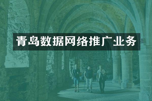 青岛数据网络推广业务
