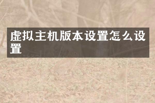 虚拟主机版本设置怎么设置
