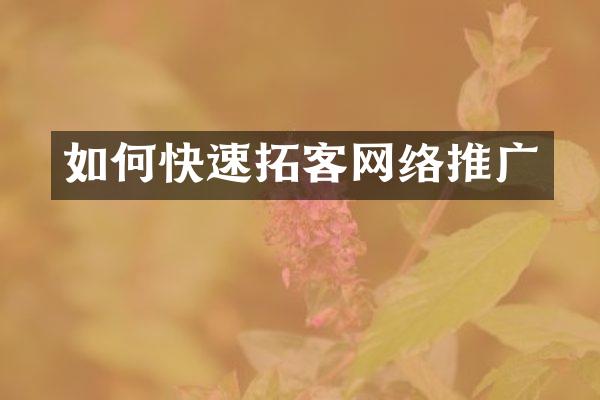 如何快速拓客网络推广