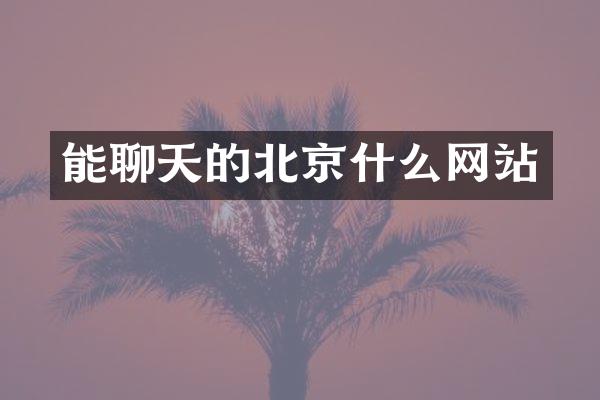 能聊天的北京什么网站