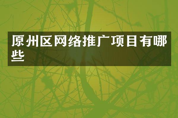 原州区网络推广项目有哪些