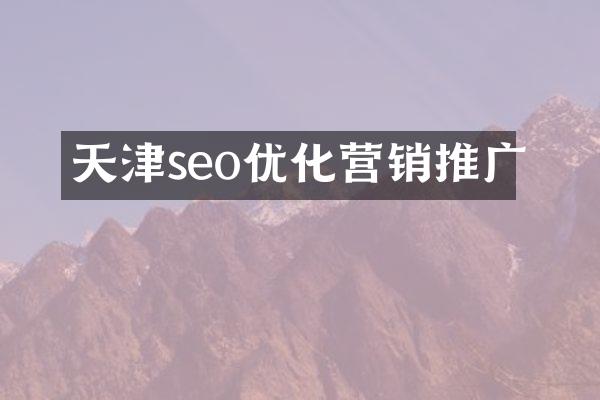 天津seo优化营销推广