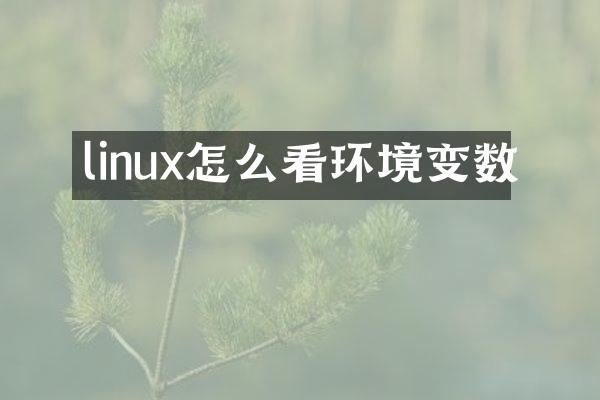 linux怎么看环境变数