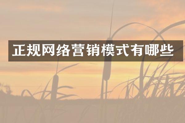 正规网络营销模式有哪些