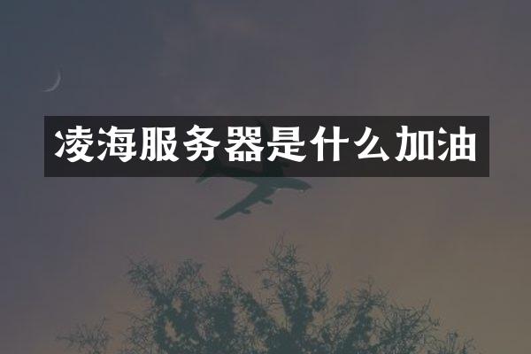 凌海服务器是什么加油