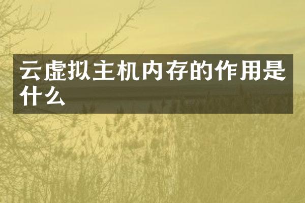 云虚拟主机内存的作用是什么