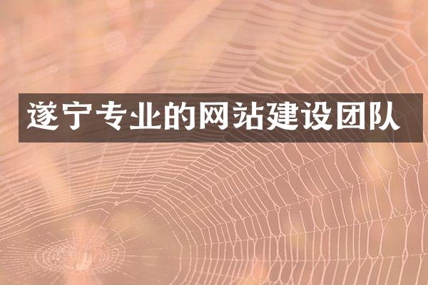 遂宁专业的网站建设团队