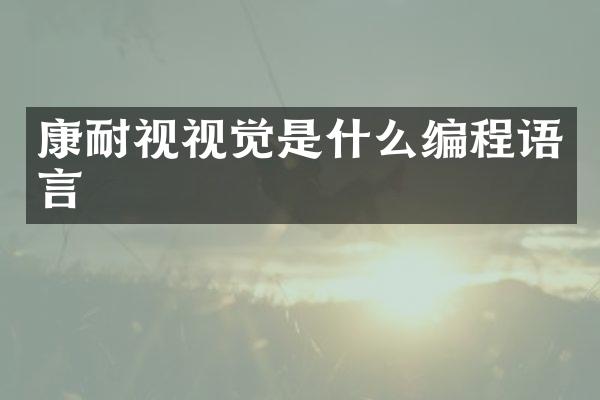 康耐视视觉是什么编程语言