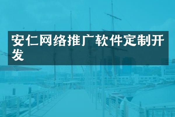 安仁网络推广软件定制开发