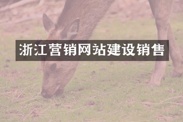 浙江营销网站建设销售