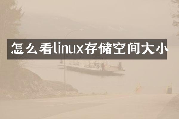 怎么看linux存储空间大小