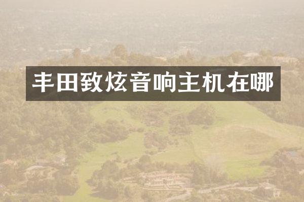 丰田致炫音响主机在哪