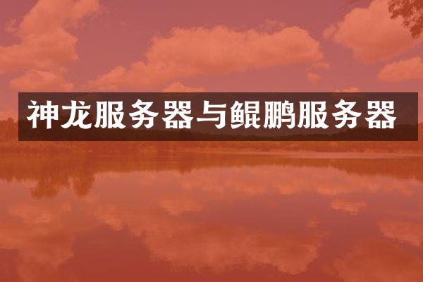 神龙服务器与鲲鹏服务器