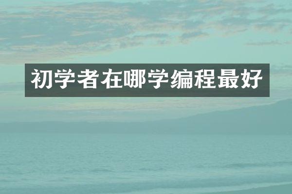 初学者在哪学编程最好