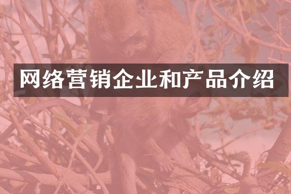 网络营销企业和产品介绍