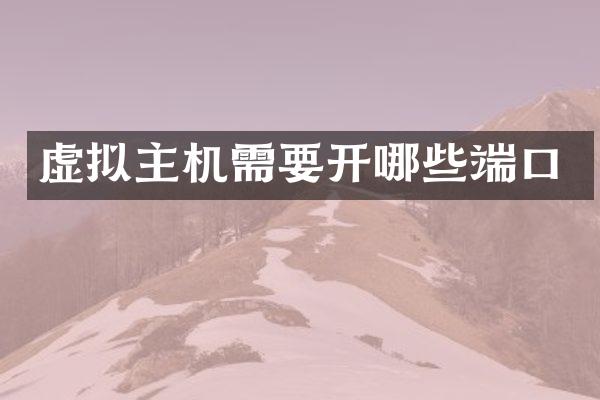 虚拟主机需要开哪些端口