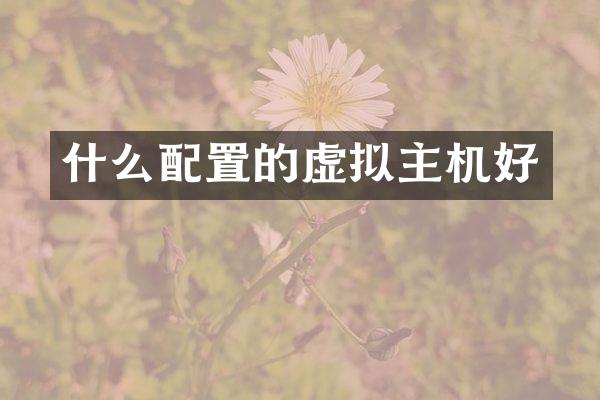 什么配置的虚拟主机好
