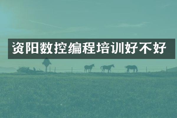 资阳数控编程培训好不好