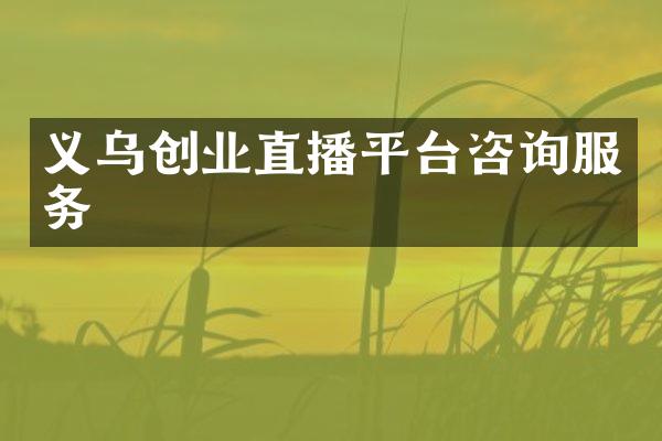 义乌创业直播平台咨询服务
