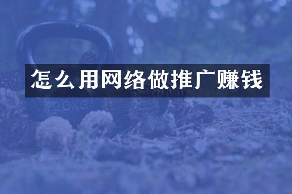 怎么用网络做推广赚钱