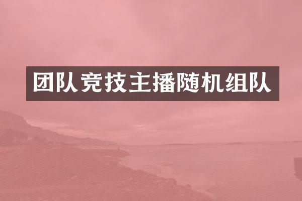 团队竞技主播随机组队