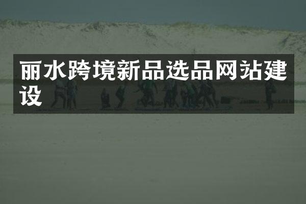 丽水跨境新品选品网站建设