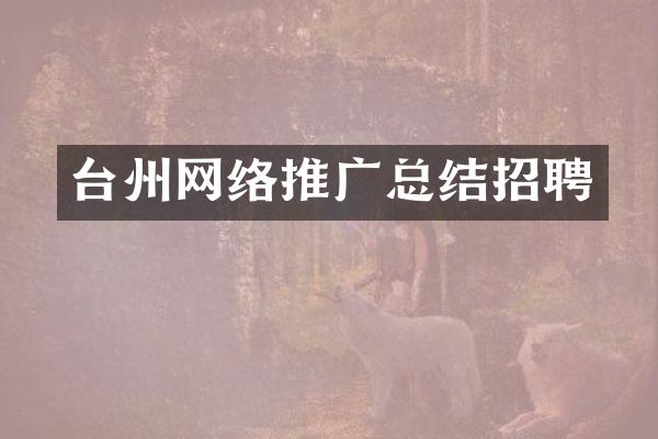 台州网络推广总结招聘