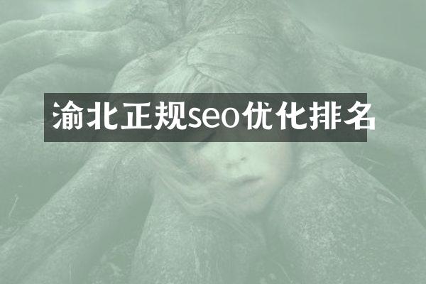 渝北正规seo优化排名