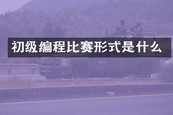 初级编程比赛形式是什么