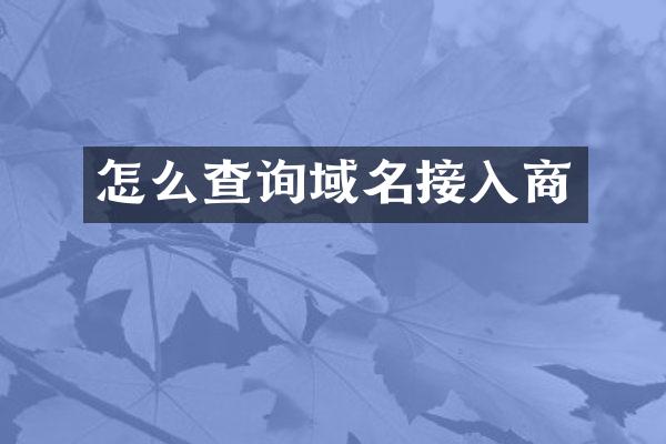 怎么查询域名接入商