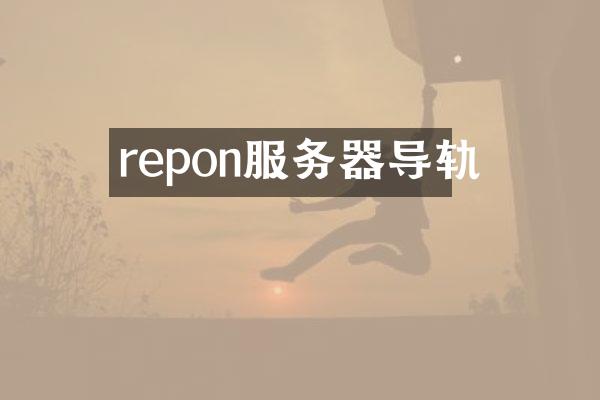 repon服务器导轨