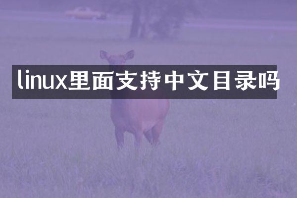 linux里面支持中文目录吗