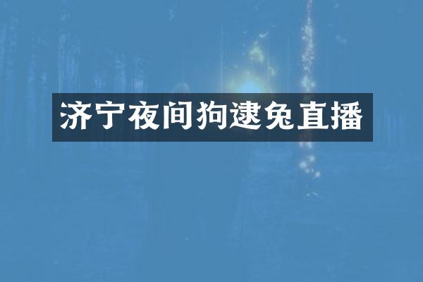 济宁夜间狗逮兔直播