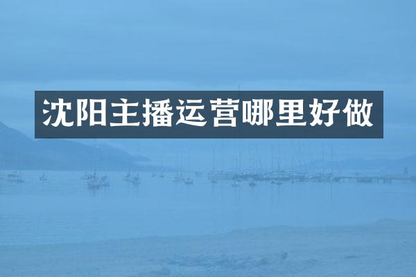 沈阳主播运营哪里好做