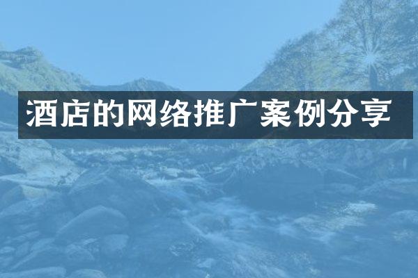 酒店的网络推广案例分享