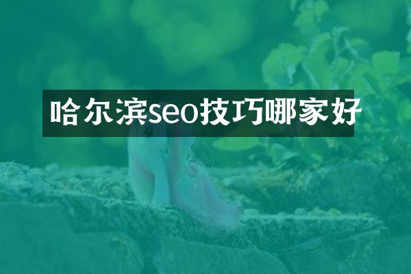 哈尔滨seo技巧哪家好