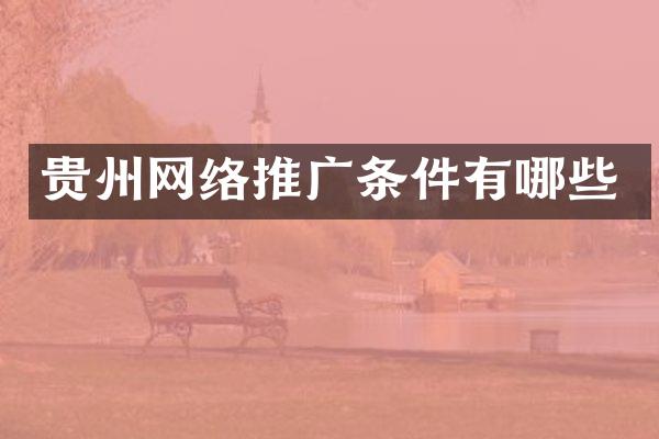 贵州网络推广条件有哪些
