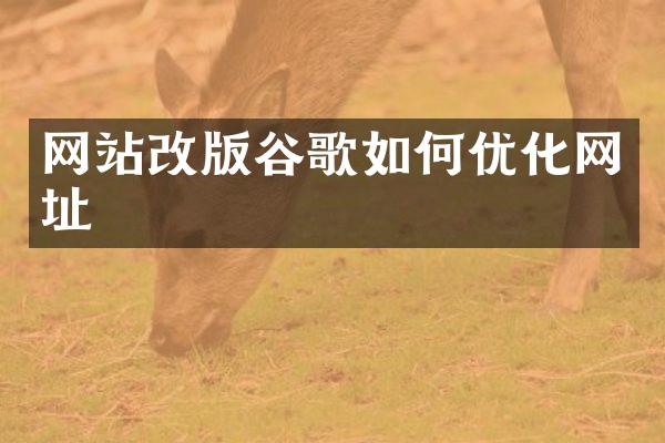 网站改版谷歌如何优化网址