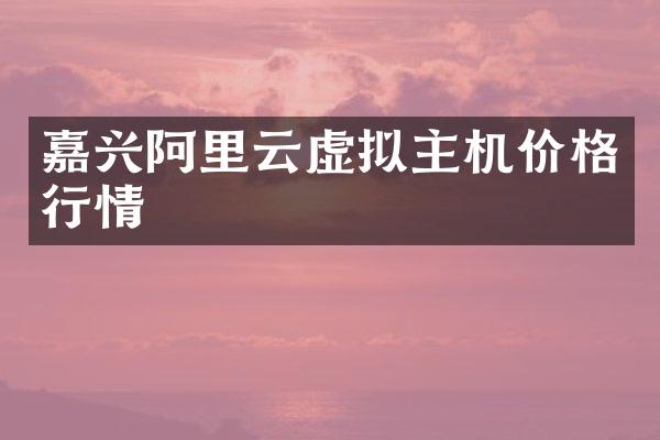 嘉兴阿里云虚拟主机价格行情