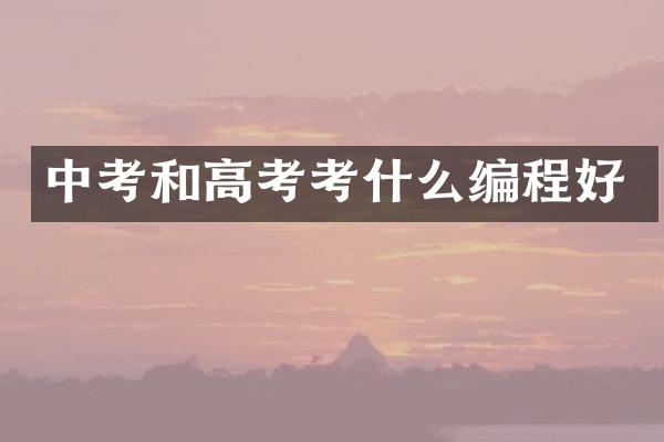 中考和高考考什么编程好